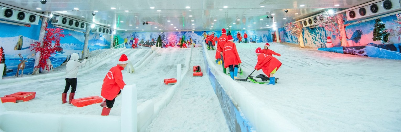 Động trượt tuyết