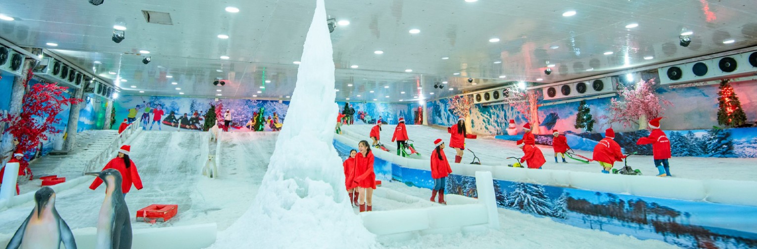 Động trượt tuyết