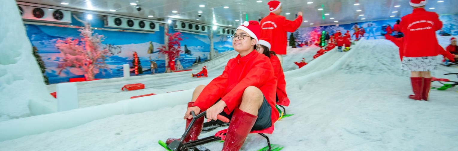 Động trượt tuyết